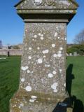 image of grave number 394573